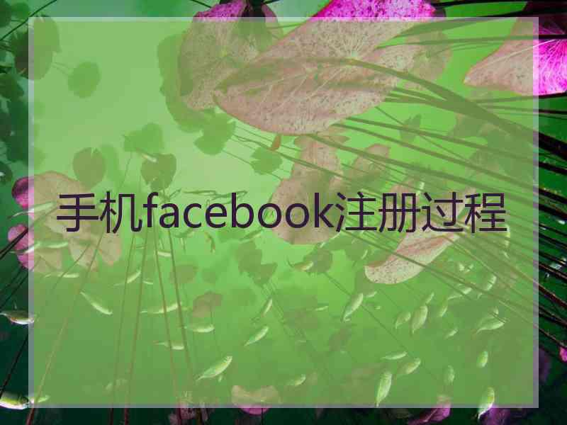 手机facebook注册过程