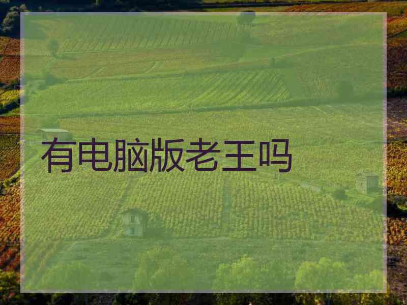 有电脑版老王吗