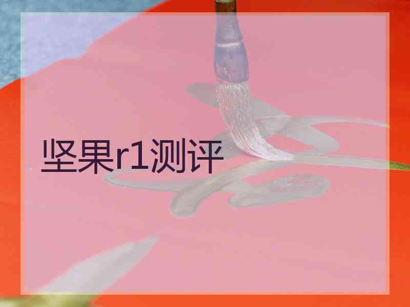 坚果r1测评