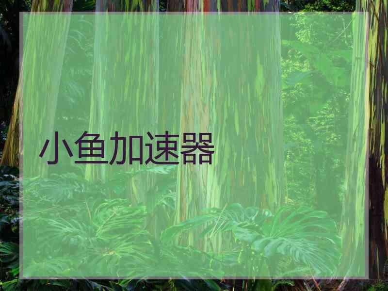 小鱼加速器