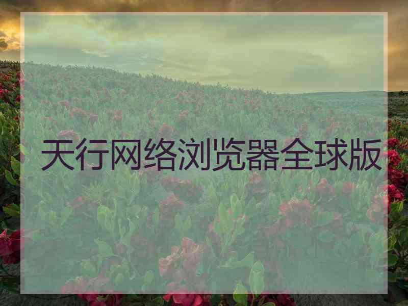 天行网络浏览器全球版