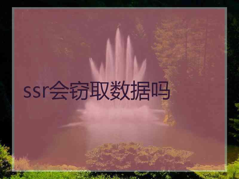 ssr会窃取数据吗