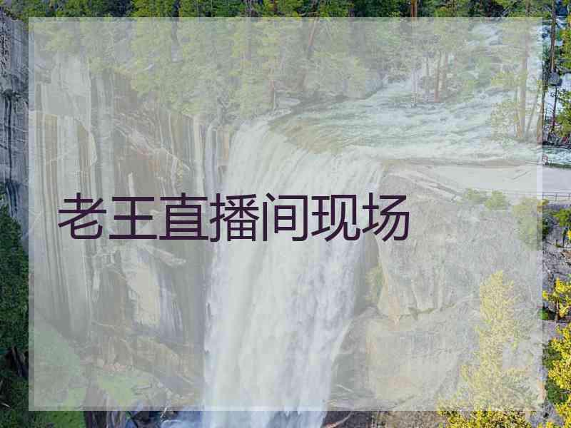 老王直播间现场