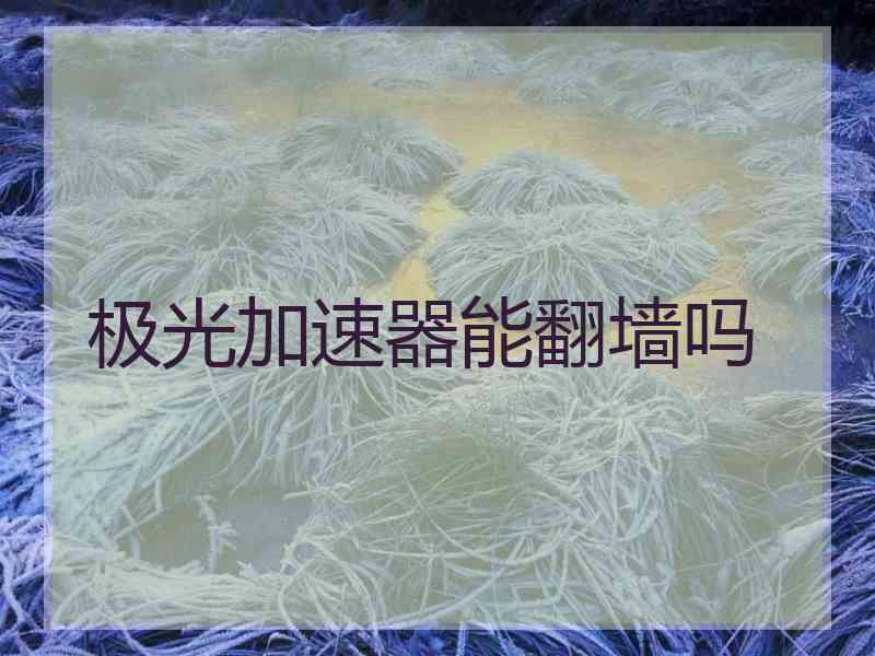 极光加速器能翻墙吗