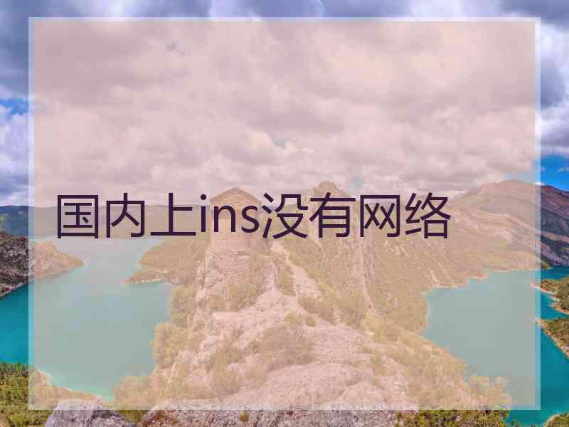 国内上ins没有网络
