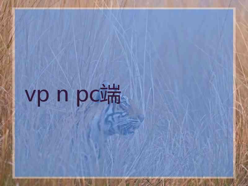vp n pc端