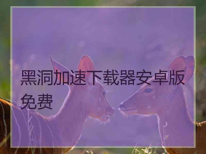 黑洞加速下载器安卓版免费
