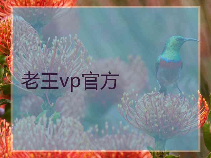 老王vp官方