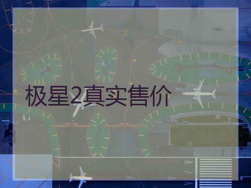 极星2真实售价