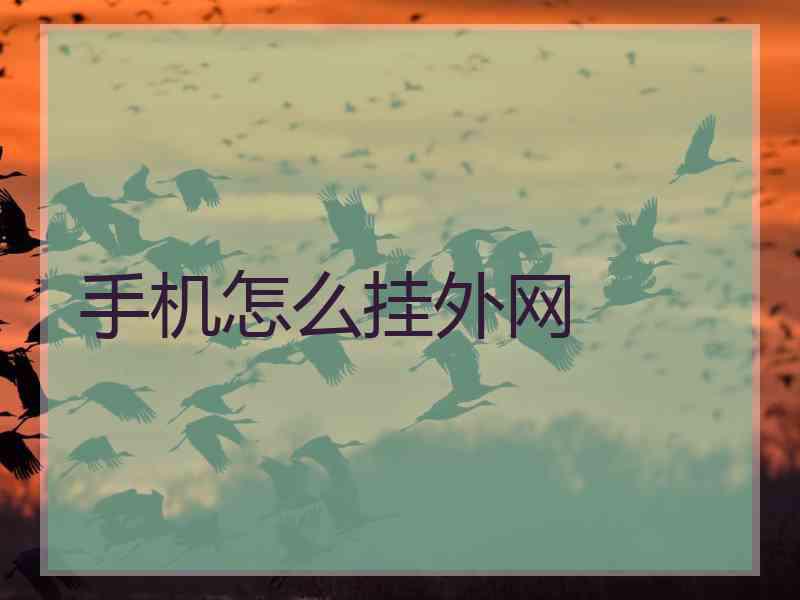 手机怎么挂外网