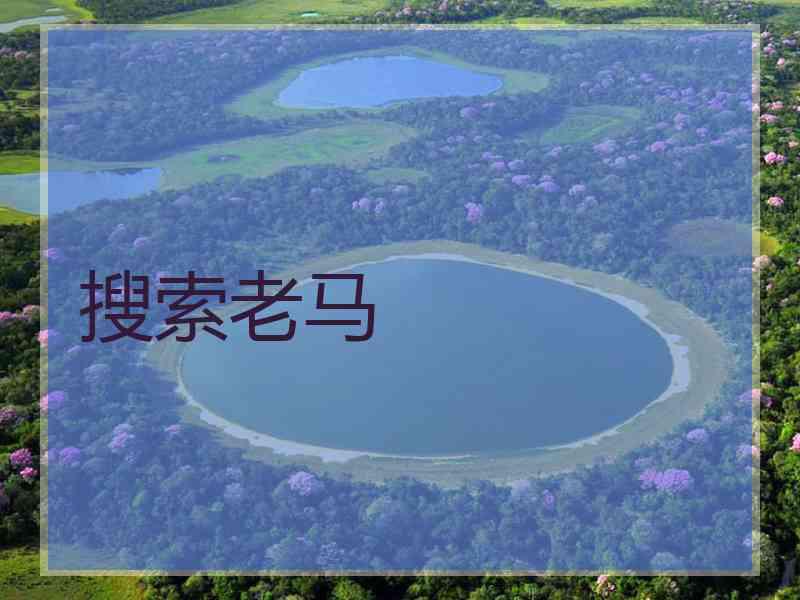 搜索老马
