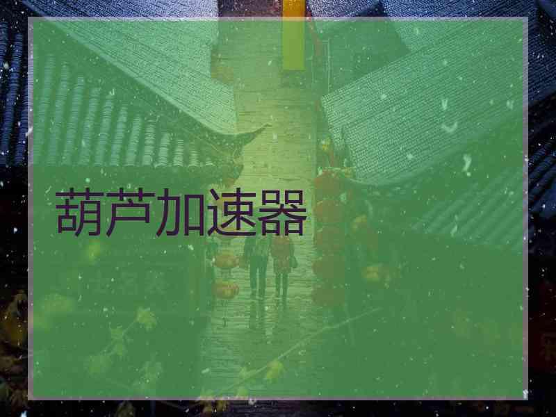 葫芦加速器