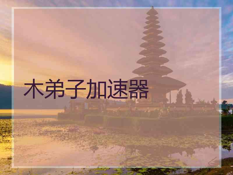 木弟子加速器