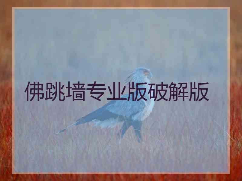 佛跳墙专业版破解版