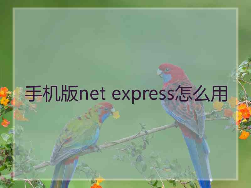 手机版net express怎么用