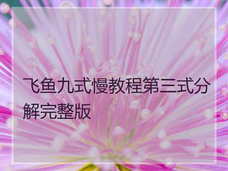 飞鱼九式慢教程第三式分解完整版