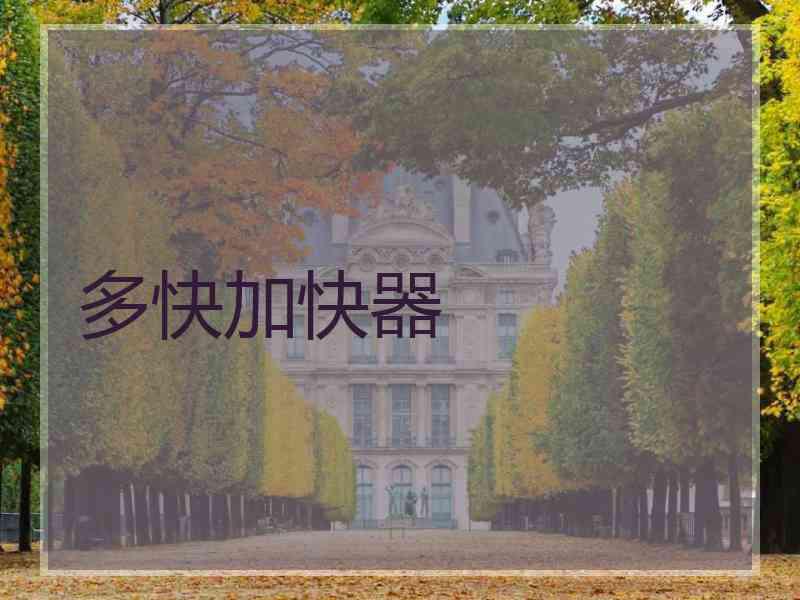 多快加快器
