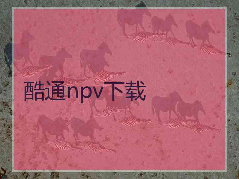 酷通npv下载