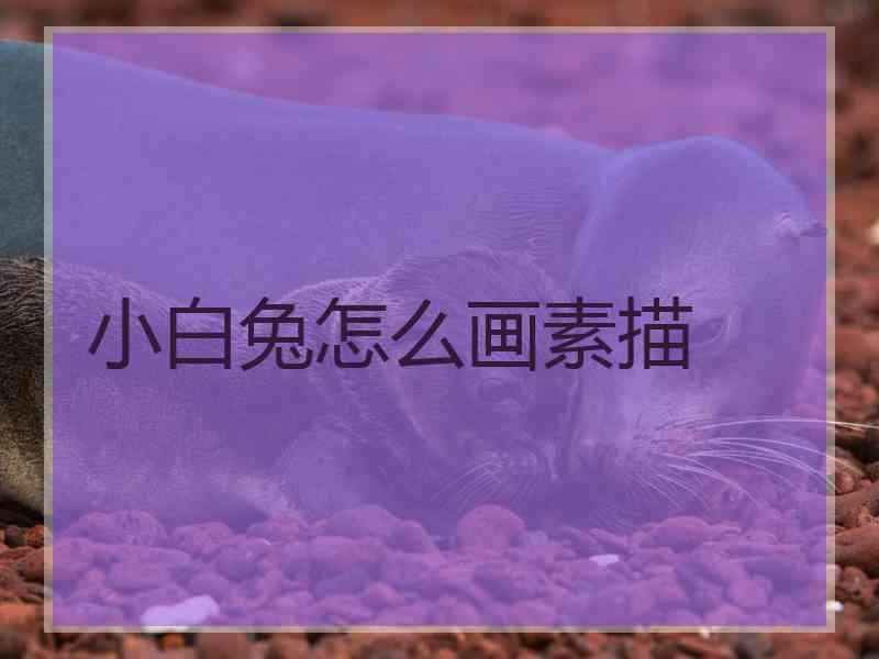 小白兔怎么画素描