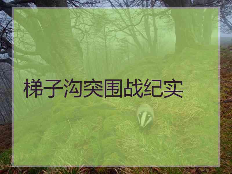 梯子沟突围战纪实