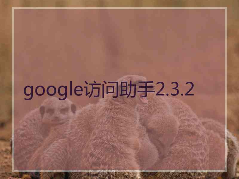 google访问助手2.3.2