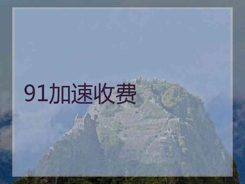 91加速收费