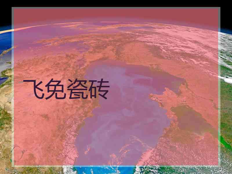 飞免瓷砖