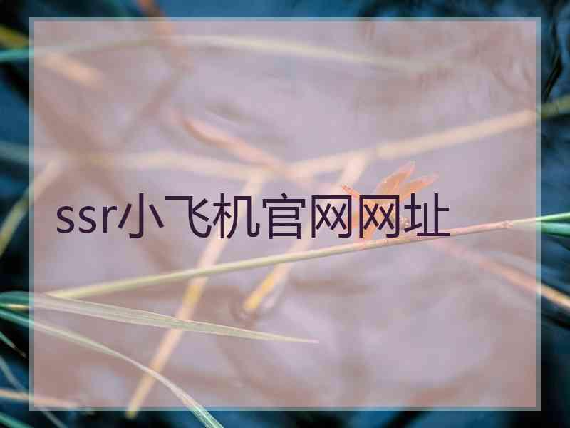 ssr小飞机官网网址