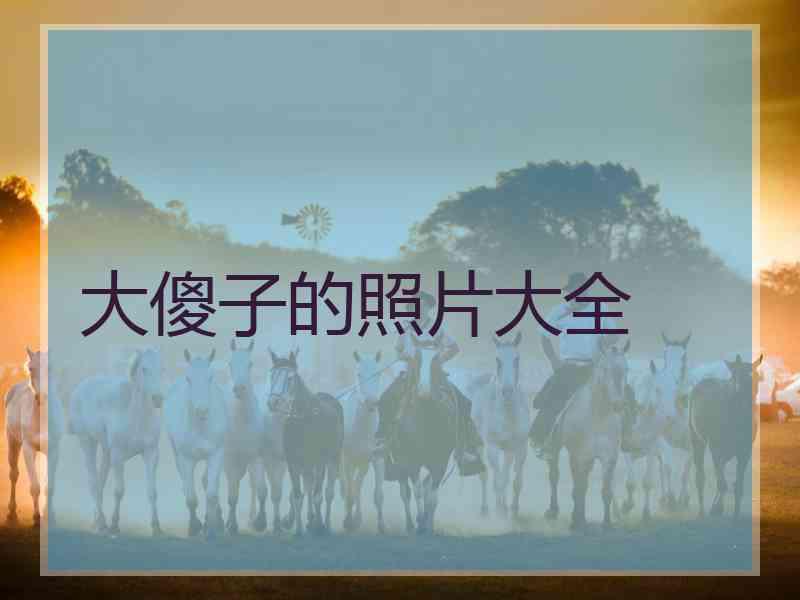 大傻子的照片大全