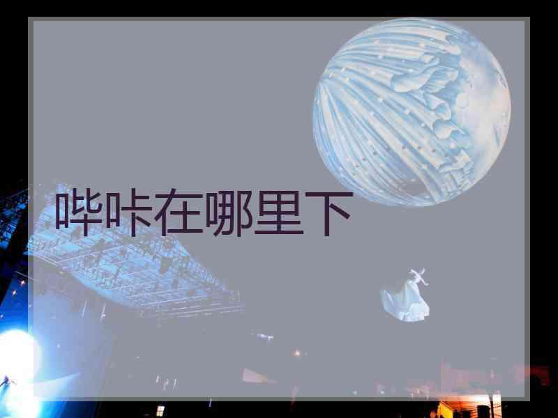 哔咔在哪里下