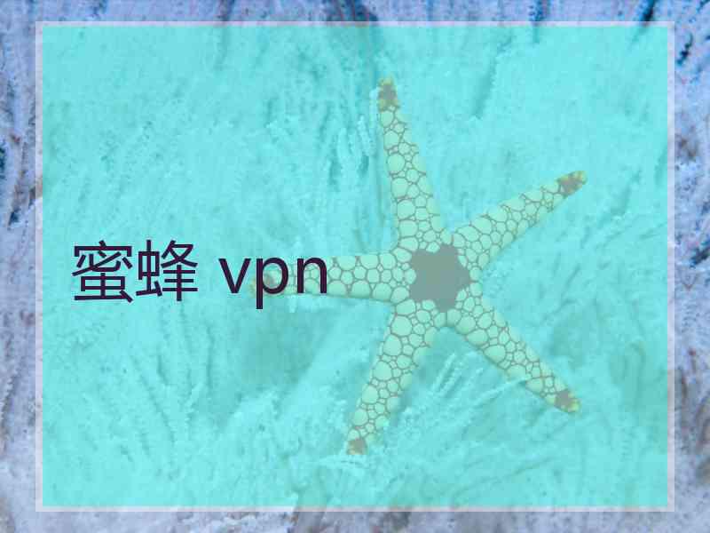 蜜蜂 vpn
