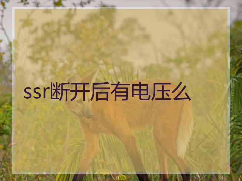 ssr断开后有电压么