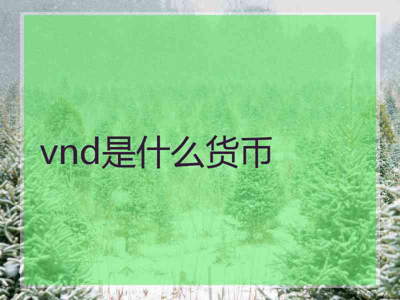vnd是什么货币