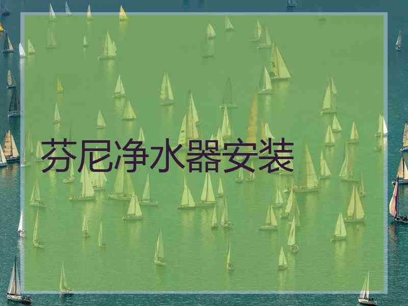 芬尼净水器安装