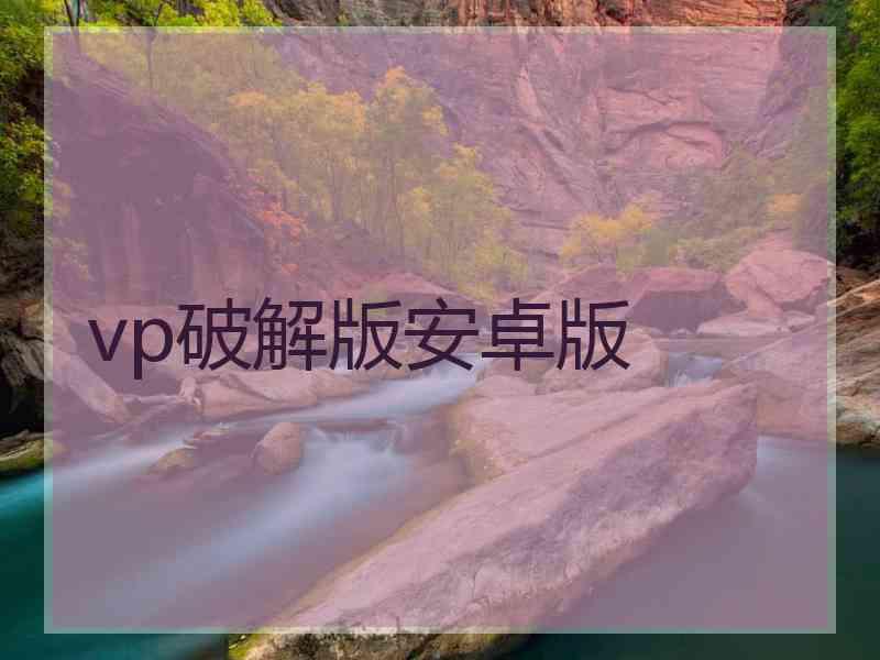 vp破解版安卓版