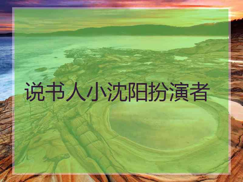 说书人小沈阳扮演者