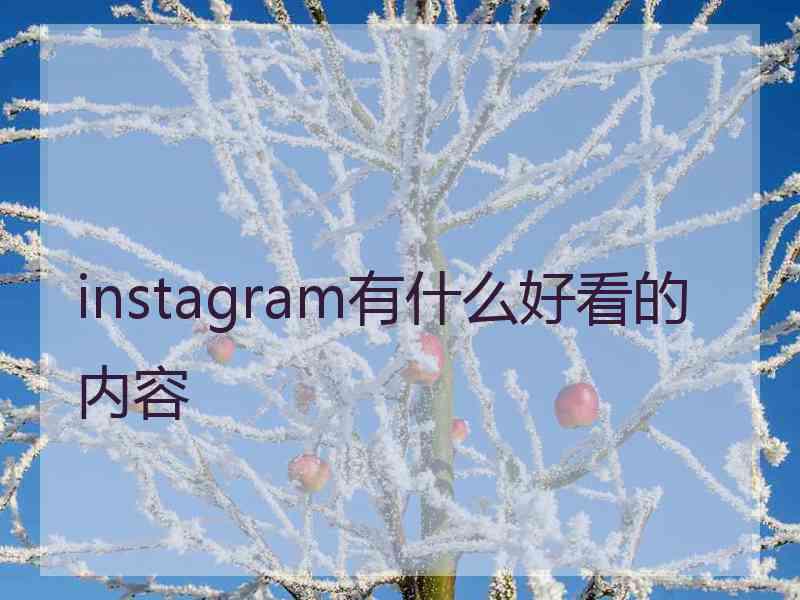 instagram有什么好看的内容