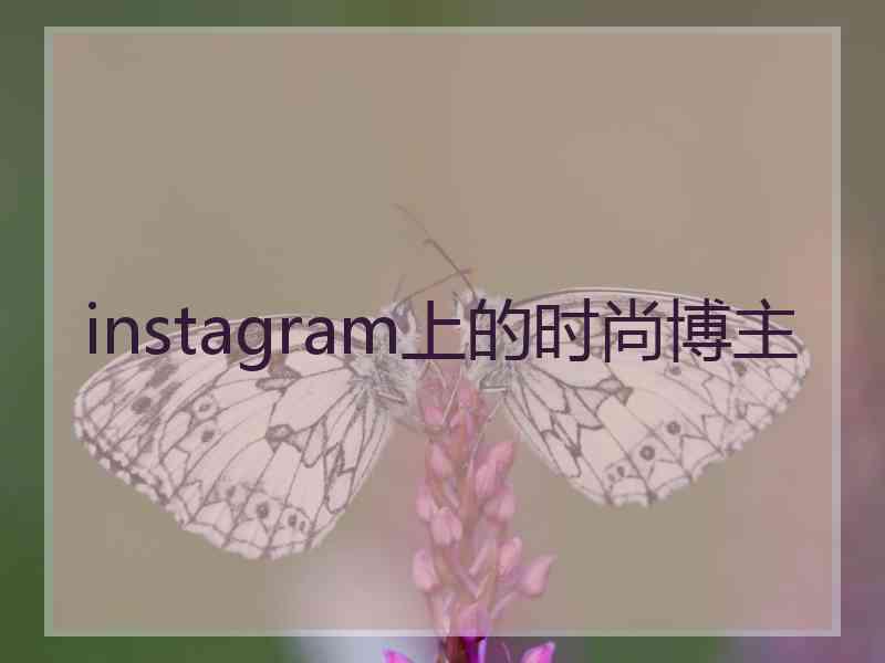 instagram上的时尚博主