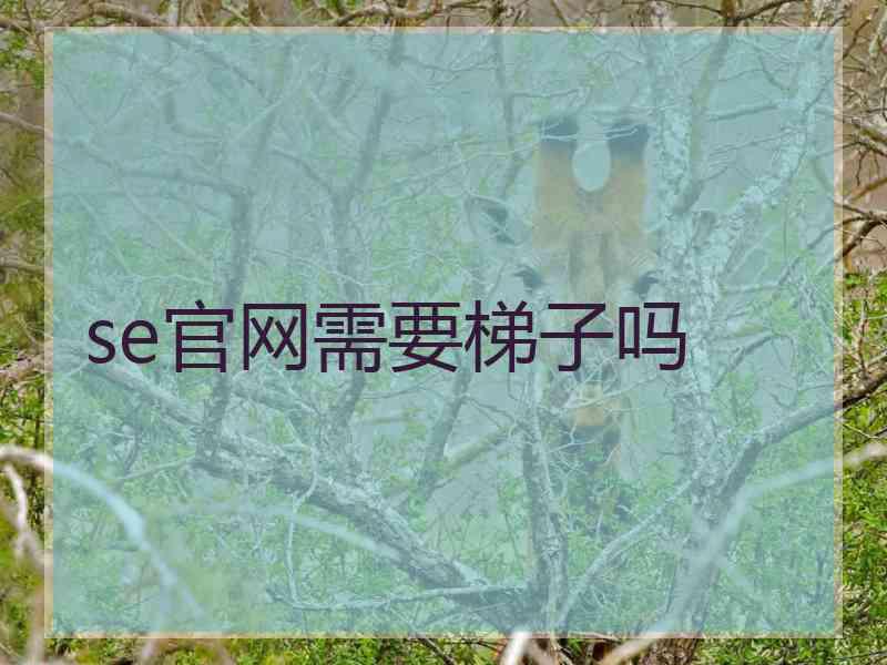 se官网需要梯子吗