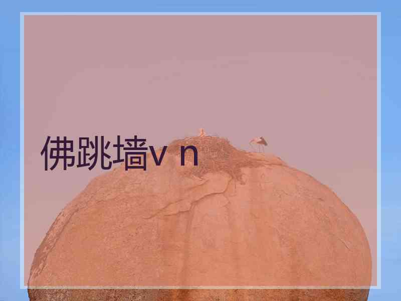 佛跳墙v n
