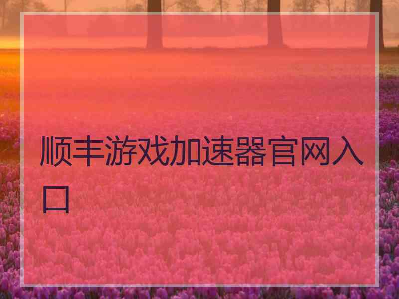 顺丰游戏加速器官网入口