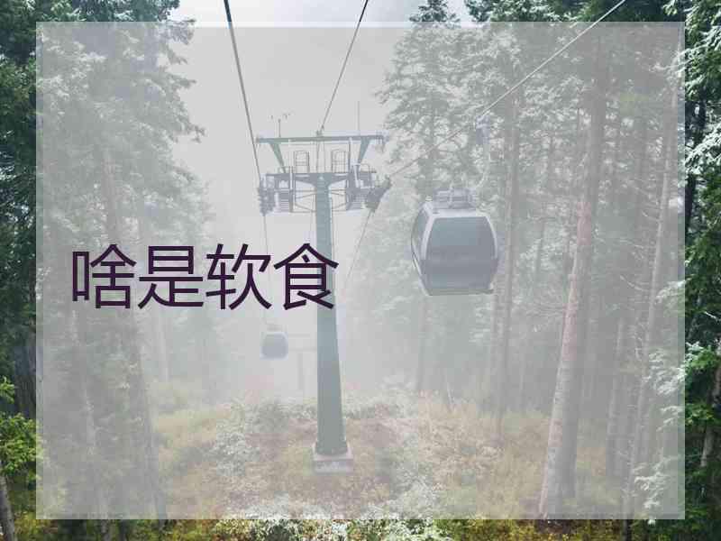啥是软食