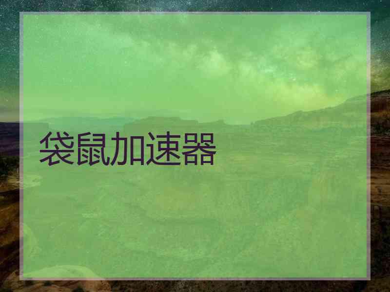 袋鼠加速器