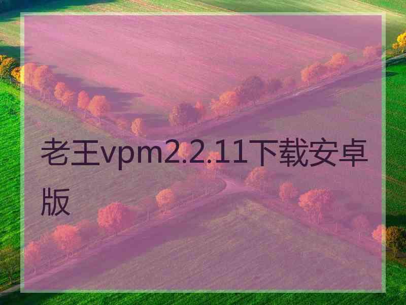 老王vpm2.2.11下载安卓版