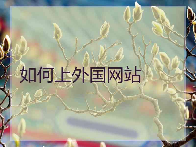 如何上外国网站