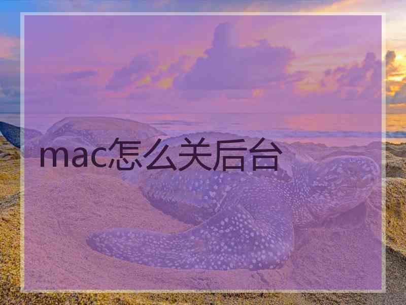 mac怎么关后台