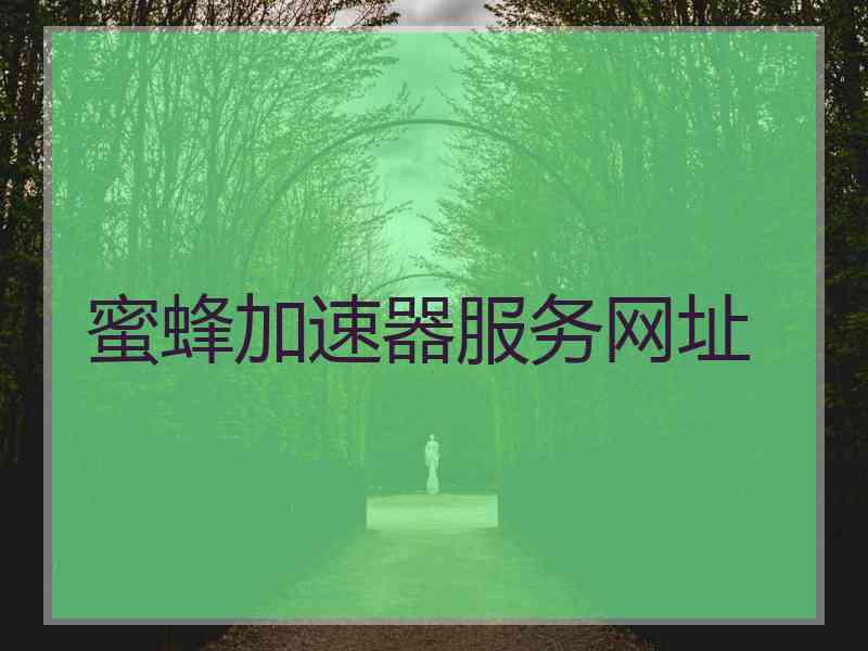 蜜蜂加速器服务网址