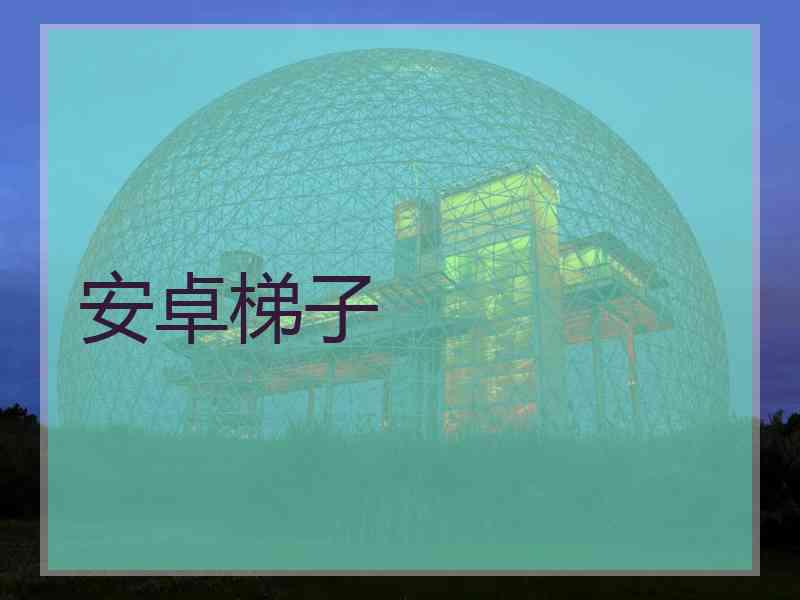 安卓梯子