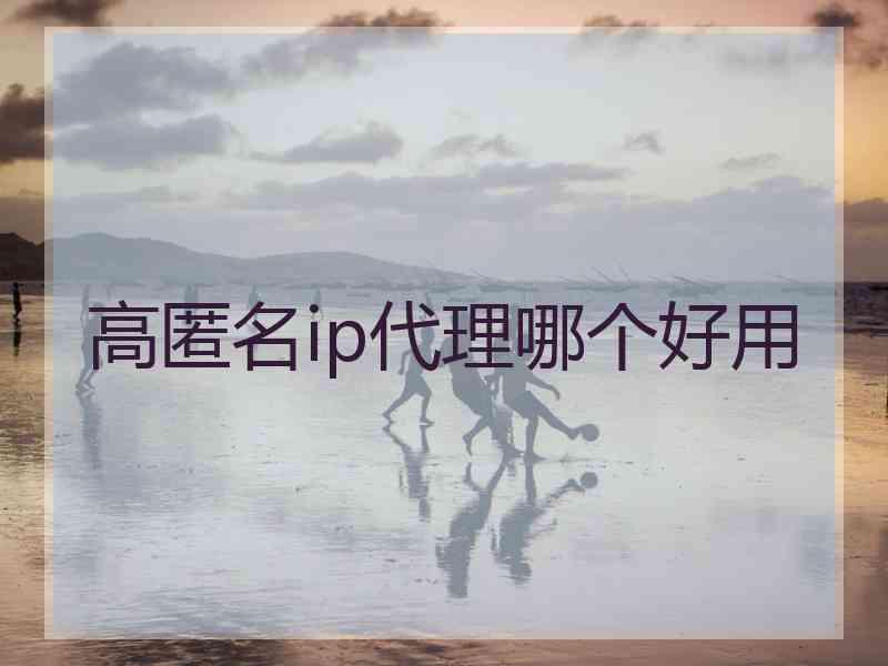 高匿名ip代理哪个好用