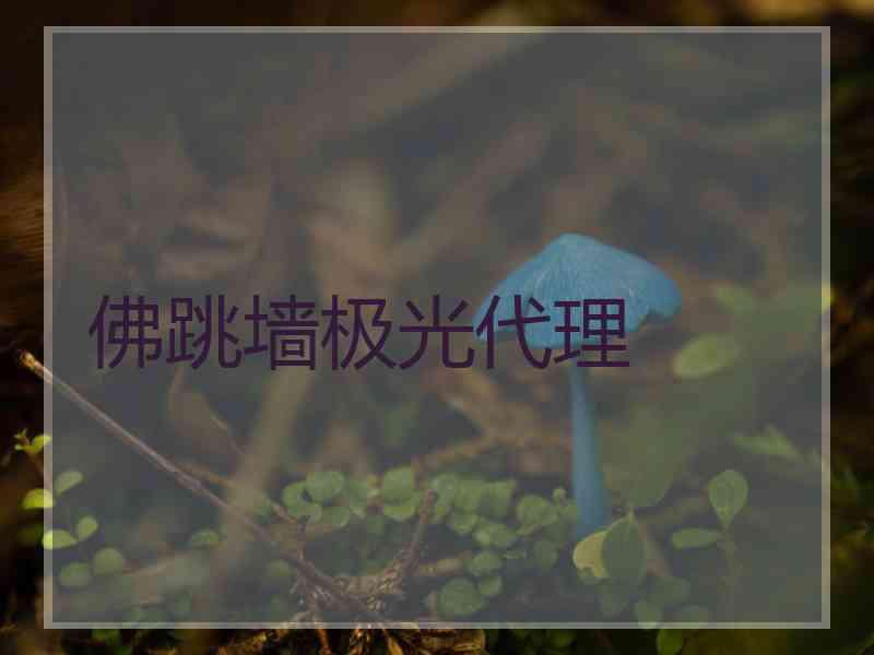 佛跳墙极光代理